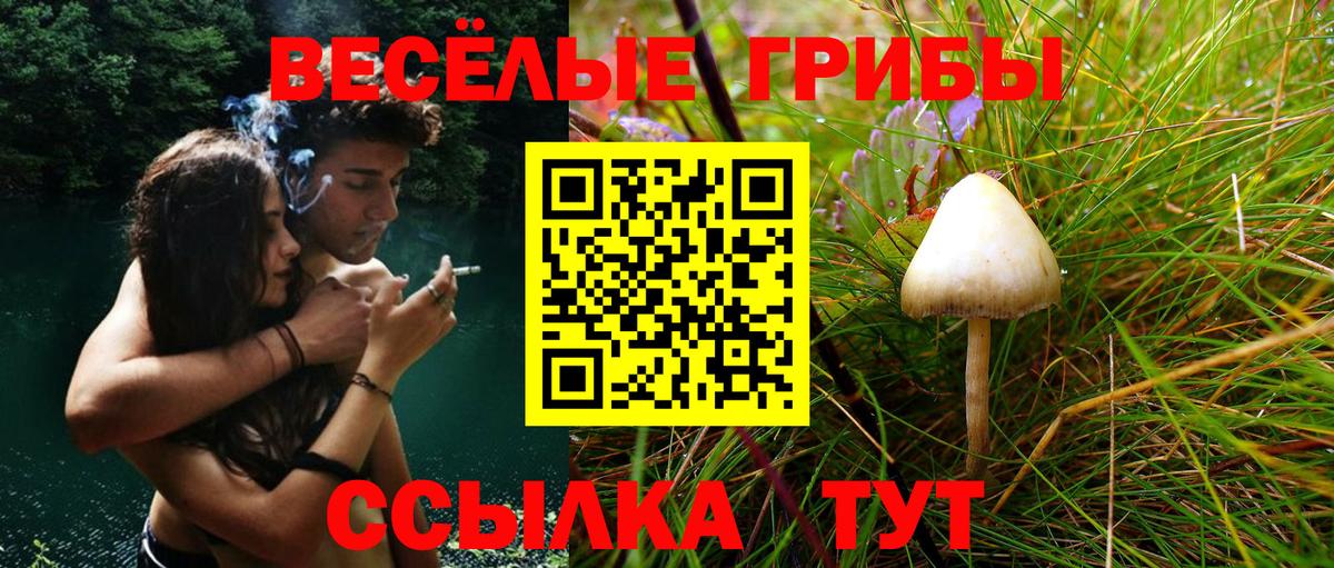 Псилоцибиновые грибы мухоморы Бахчисарай